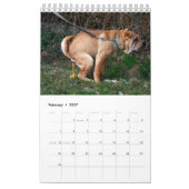 Calendrier 2023 de Pooping Dog (Feb 2027)
