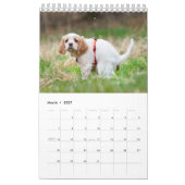Calendrier 2023 de Pooping Dog (Mar 2027)