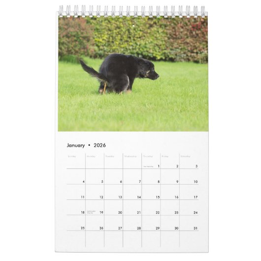 Calendrier 2023 de Pooping Dog (Jan 2026)
