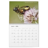 Calendrier 2023 des animaux en action (Mar 2026)