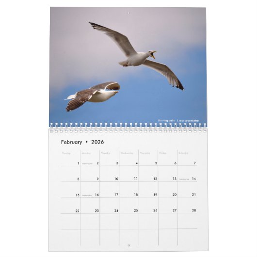 Calendrier 2023 des animaux en action (Feb 2026)