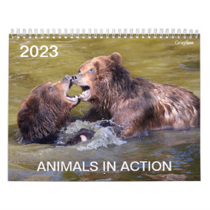 Calendrier 2023 des animaux en action