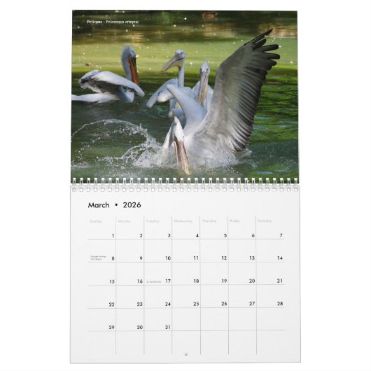 Calendrier 2023 des animaux en action (Mar 2026)