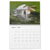 Calendrier 2023 des animaux en action (Feb 2026)