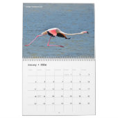 Calendrier 2023 des animaux en action (Jan 2026)