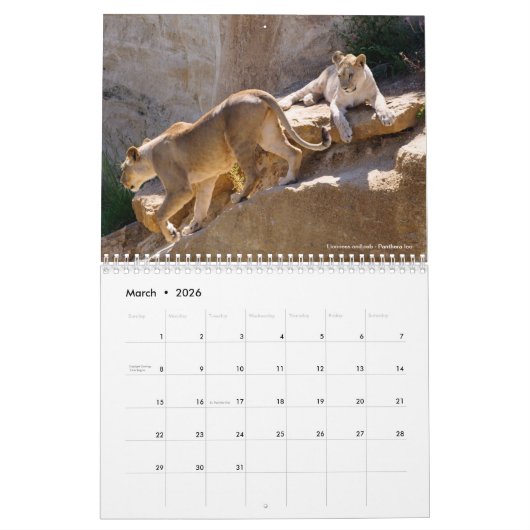 Calendrier 2023 des animaux en action (Mar 2026)