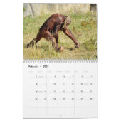 Calendrier 2023 des animaux en action (Feb 2026)