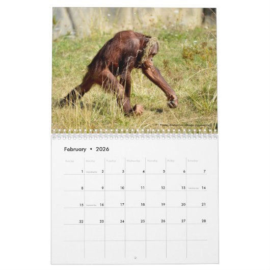 Calendrier 2023 des animaux en action (Feb 2026)