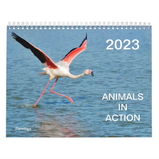 Calendrier 2023 des animaux en action (Protection)