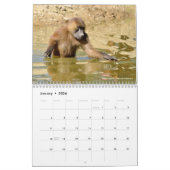 Calendrier 2023 des animaux en action (Jan 2026)