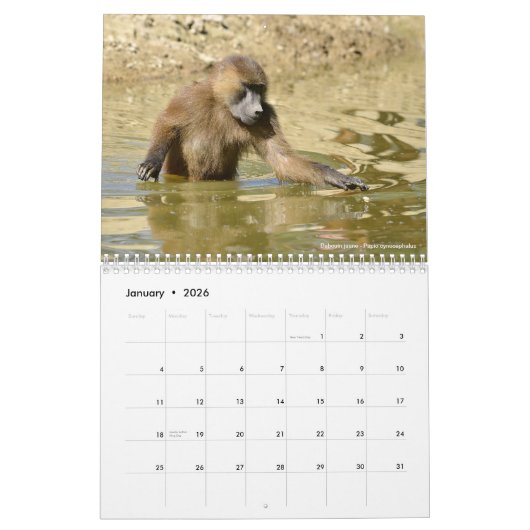 Calendrier 2023 des animaux en action (Jan 2026)