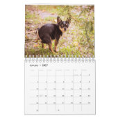 Calendrier 2023 Des Chiens De Pooping (Jan 2027)