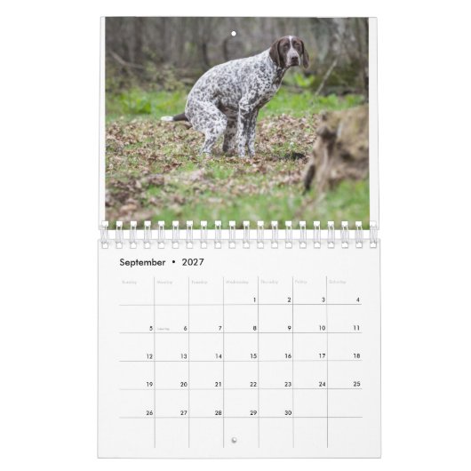 Calendrier 2023 Des Chiens De Pooping (Sep 2027)