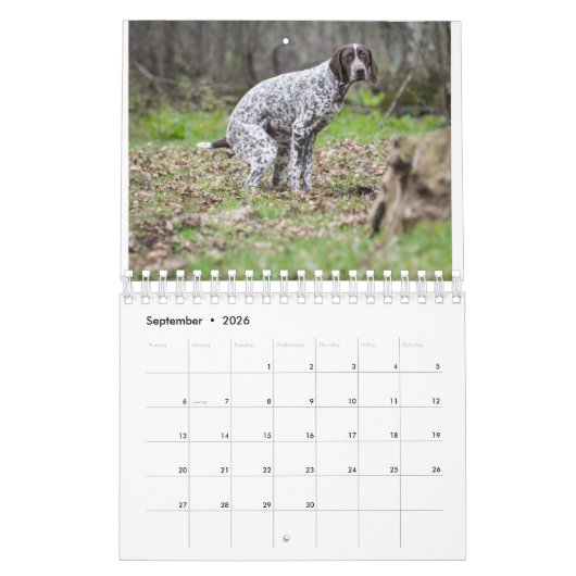 Calendrier 2023 Des Chiens De Pooping (Sep 2026)