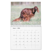 Calendrier 2023 Des Chiens De Pooping (Mar 2026)