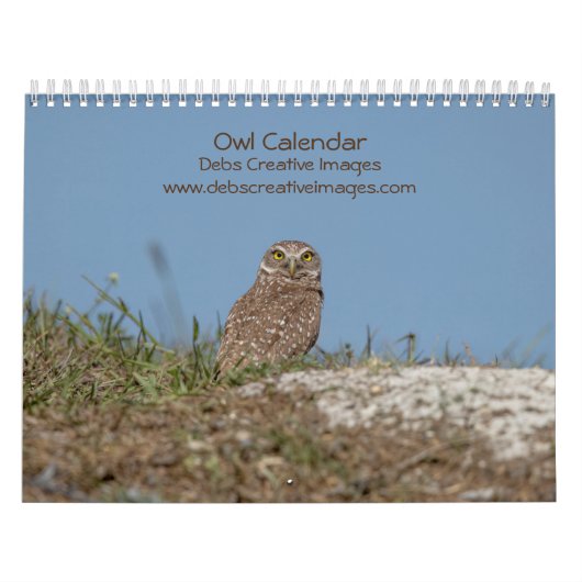 Calendrier 2023 des hiboux (Protection)