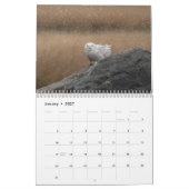 Calendrier 2023 des hiboux (Jan 2027)