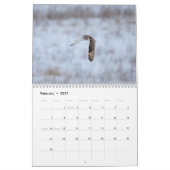 Calendrier 2023 des hiboux (Feb 2027)