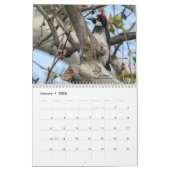 Calendrier 2023 des oiseaux de pic (Jan 2026)