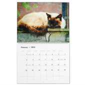 Calendrier 2023 Drôle Lazy Sleepy Chat Relaxant Cadeau Amoure (Feb 2026)