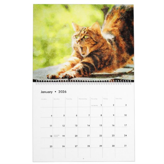 Calendrier 2023 Drôle Lazy Sleepy Chat Relaxant Cadeau Amoure (Jan 2026)