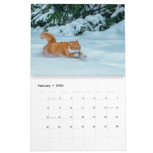 Calendrier 2023 du gingembre mignon (Feb 2026)