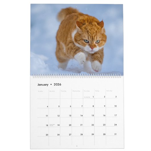 Calendrier 2023 du gingembre mignon (Jan 2026)