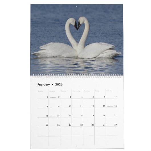 Calendrier 2023 du mur de cygne trompette (Feb 2026)