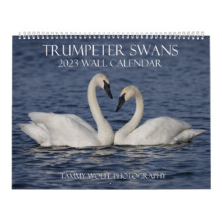 Calendrier 2023 du mur de cygne trompette