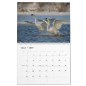 Calendrier 2023 du mur de cygne trompette (Mar 2027)