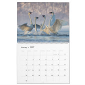 Calendrier 2023 du mur de cygne trompette (Jan 2027)