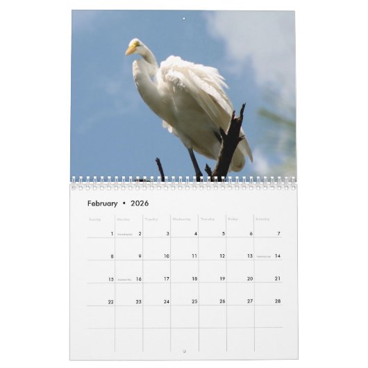 Calendrier 2023 Egrets & Herons (Feb 2026)