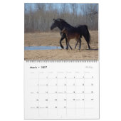Calendrier 2023 Equine Photo Calendar (Mar 2027)