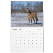 Calendrier 2023 Equine Photo Calendar (Jan 2026)