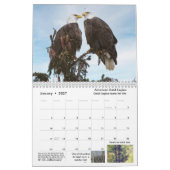 Calendrier 2023 faune et nature (Jan 2027)