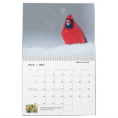 Calendrier 2023 faune et nature (Mar 2027)