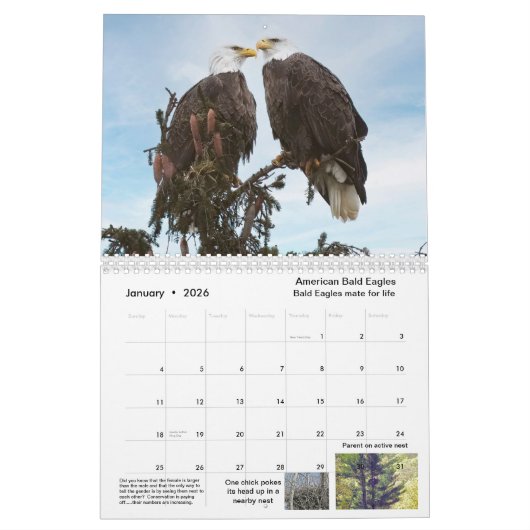Calendrier 2023 faune et nature (Jan 2026)