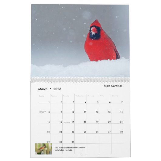 Calendrier 2023 faune et nature (Mar 2026)