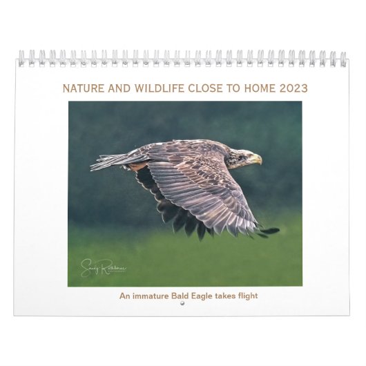 Calendrier 2023 faune et nature (Protection)
