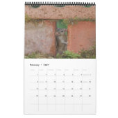 Calendrier 2023 george la souris (Feb 2027)