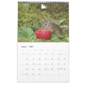 Calendrier 2023 george la souris (Mar 2027)