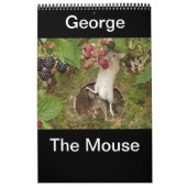 Calendrier 2023 george la souris (Protection)