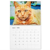 Calendrier 2023 Ginger Tabby Chat Lover Propriétaire Marmalad (Mar 2026)