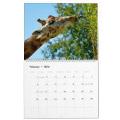 Calendrier 2023 girafes (Feb 2026)