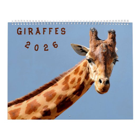 Calendrier 2023 girafes (Protection)
