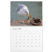 Calendrier 2023 Mouettes et mouettes (Jan 2026)