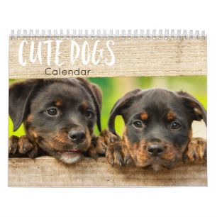 calendrier 2023 pour chiens mignons