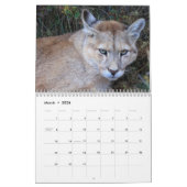 Calendrier 2023 Pumas du Chili (Mar 2026)