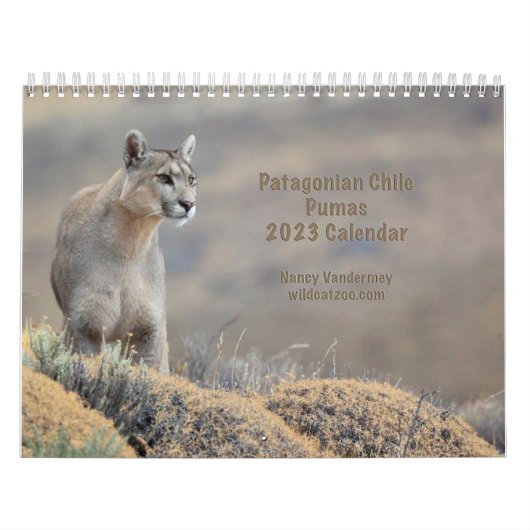 Calendrier 2023 Pumas du Chili (Protection)