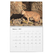 Calendrier 2023 Pumas du Chili (Feb 2027)